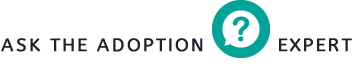 ask the adoption expert